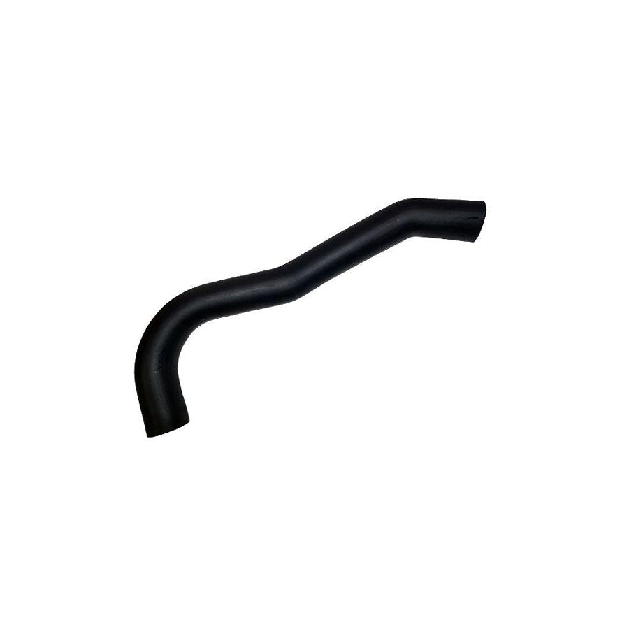 BUGIAD 81768 Charger Intake Hose for Ford Transit