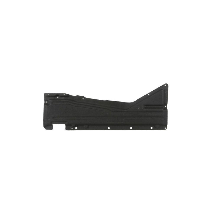 Blic 6601-02-0096982P Engine Cover