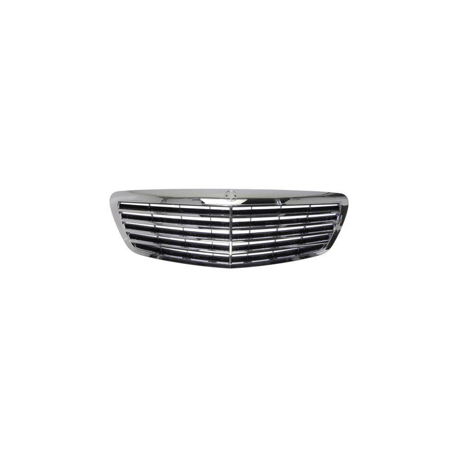 Blic 6502-07-3514990P Radiator Grille Suitable for Mercedes-Benz S-Class Saloon (W221)