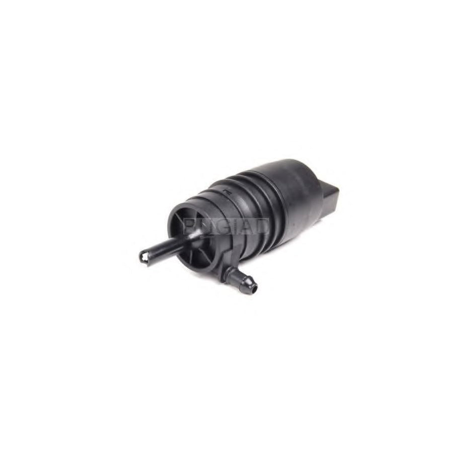 BUGIAD Bsp23529 Water Pump, Window Cleaning