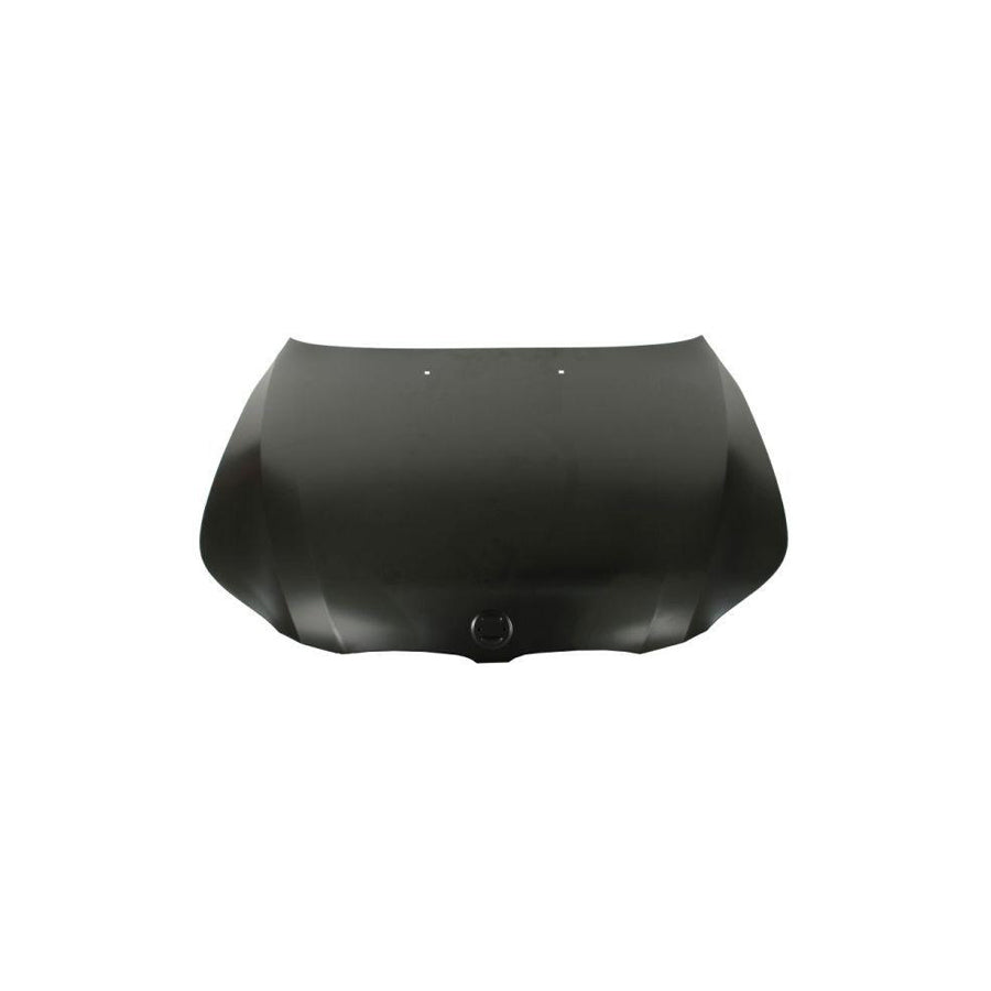 Blic 6803-00-0066280P Bonnet for BMW 5 Series