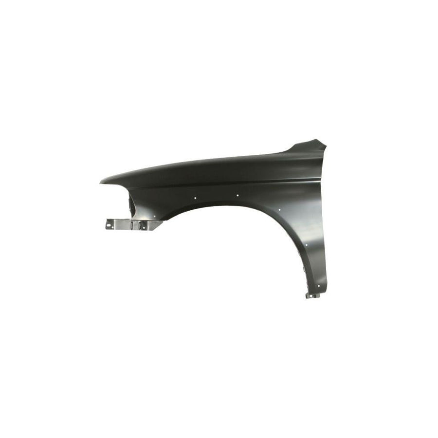 Blic 6504-04-3729313P Wing Fender for Mitsubishi Pajero / Shogun Sport I Off-Road (K70, K90)