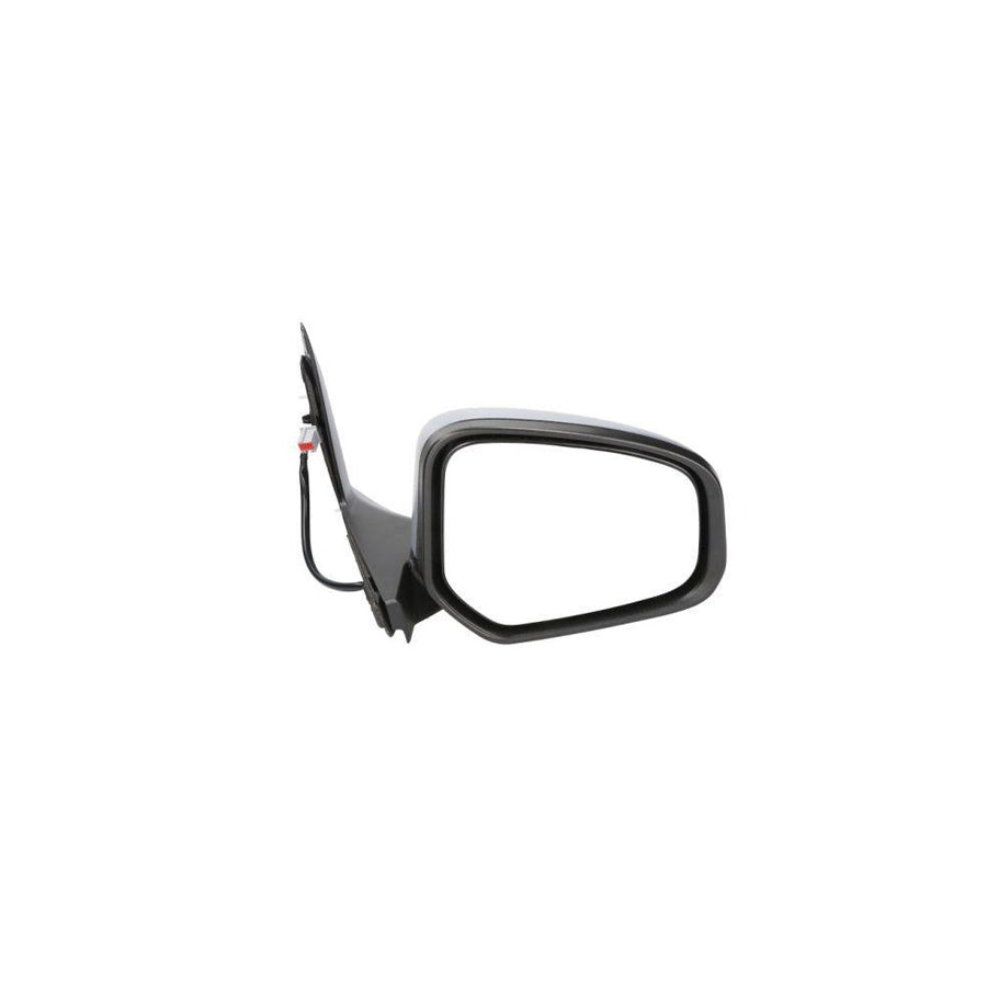 Blic 5402-03-2001274P Wing Mirror