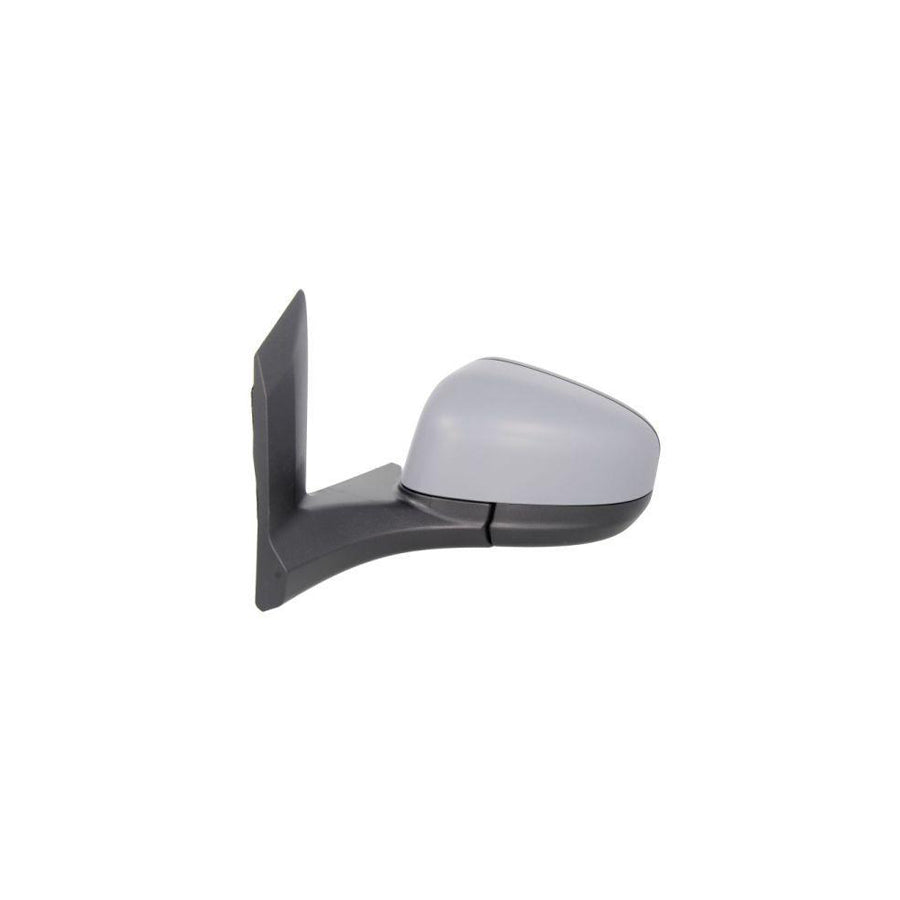 Blic 5402-03-2001273P Wing Mirror
