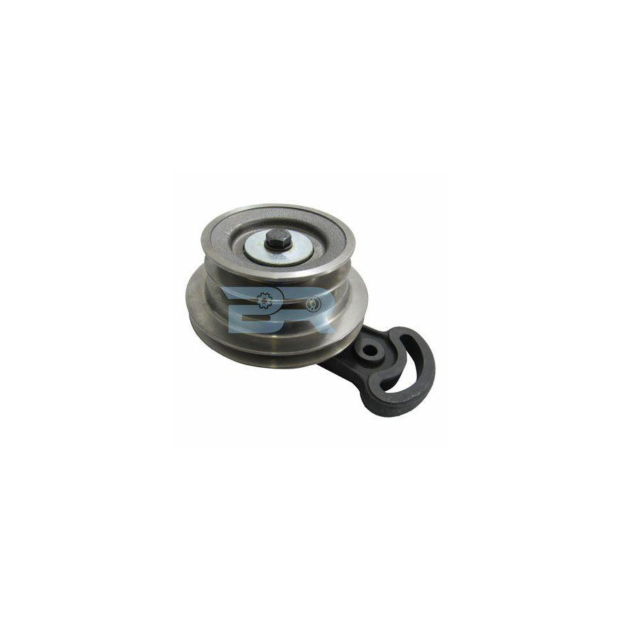 Botto Ricambi Brm5003 Belt Tensioner, V-Ribbed Belt For
