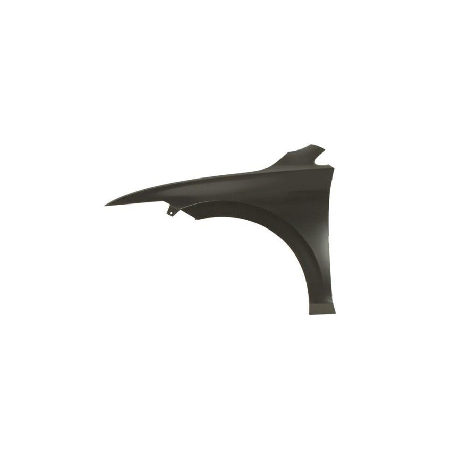 Blic 6504-04-9572311Q Wing Fender