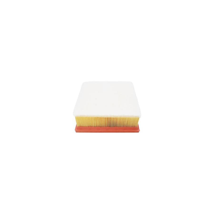 Automega 180022710 Air Filter