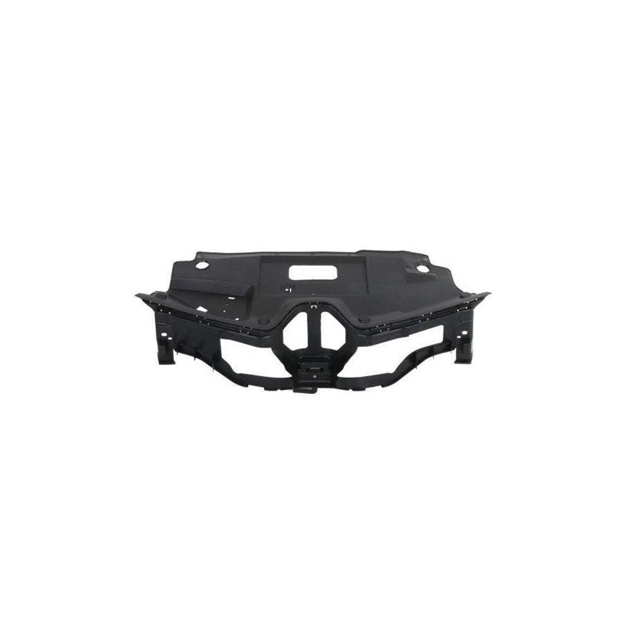 Blic 6502-07-6047991P Radiator Grille for Renault ScÃ©nic IV (J95)