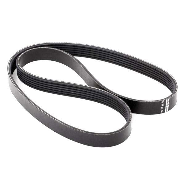 Febi Bilstein 28920 V-Ribbed Belt | ML Performance UK Car Parts