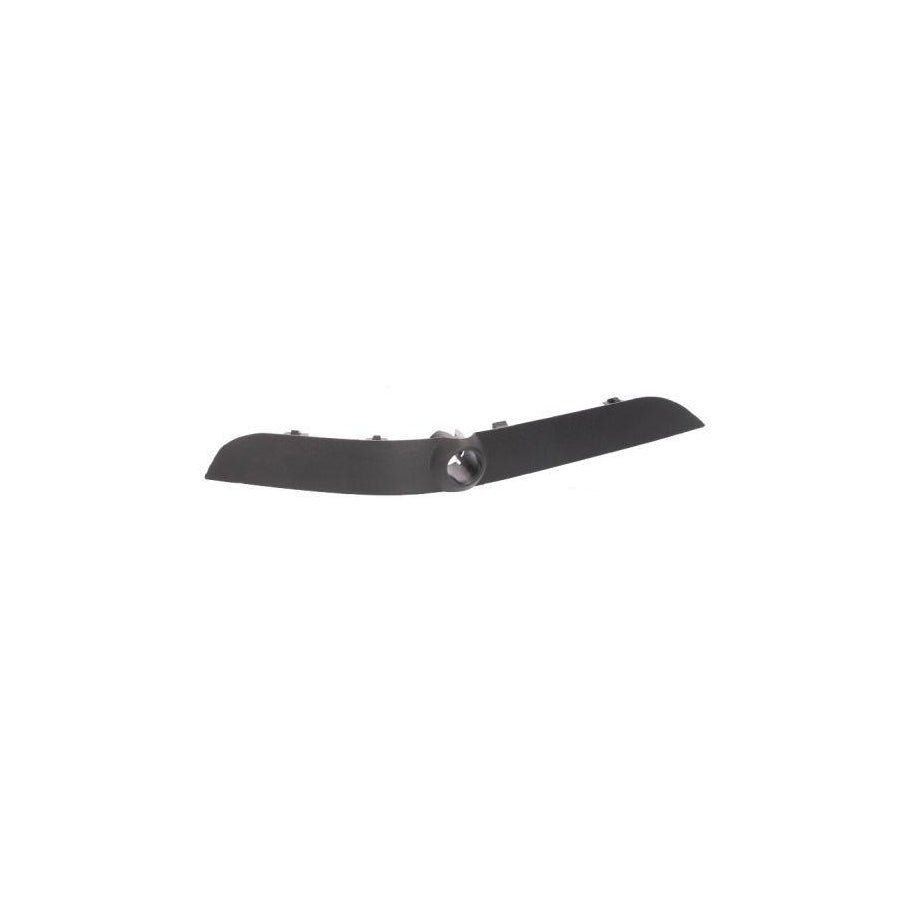 Blic 5703-05-0095921P Bumper Moulding for BMW X5 (E53)