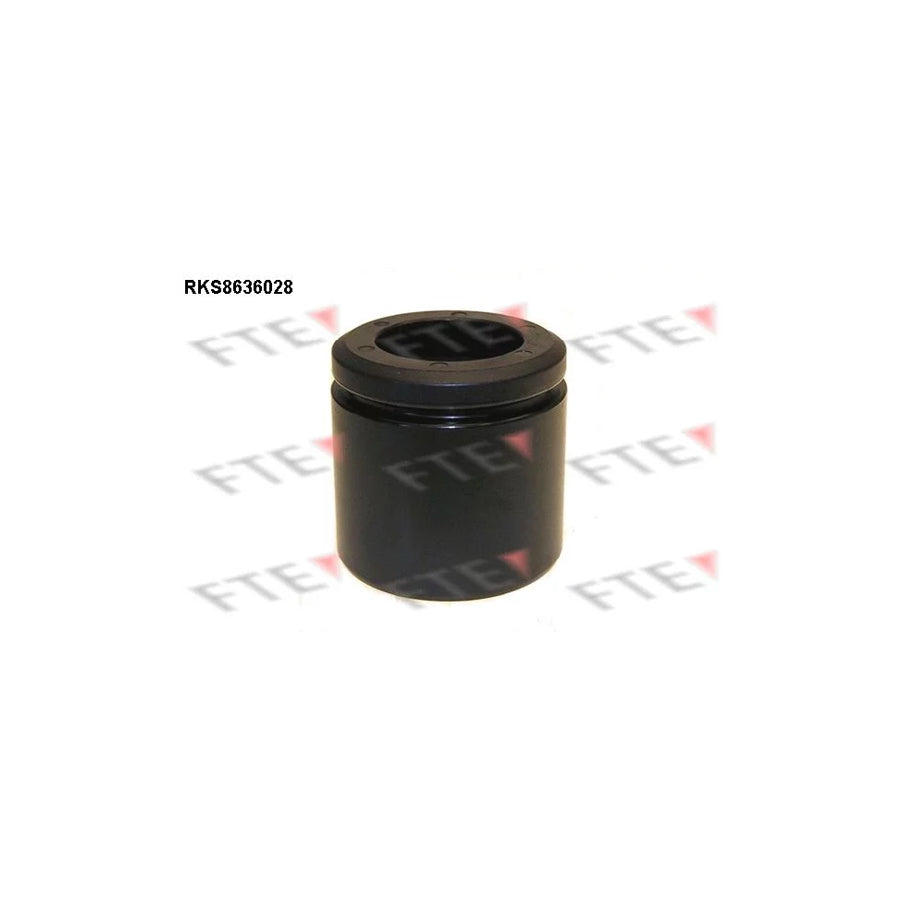 FTE 9313061 Piston, Brake Caliper