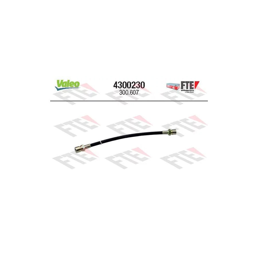 FTE 4300230 Clutch Hose