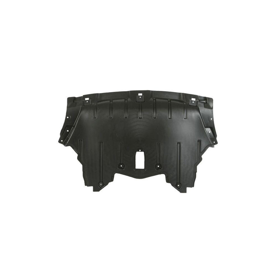 Blic 6601-02-0099861P Engine Cover for BMW X6 (E71, E72)