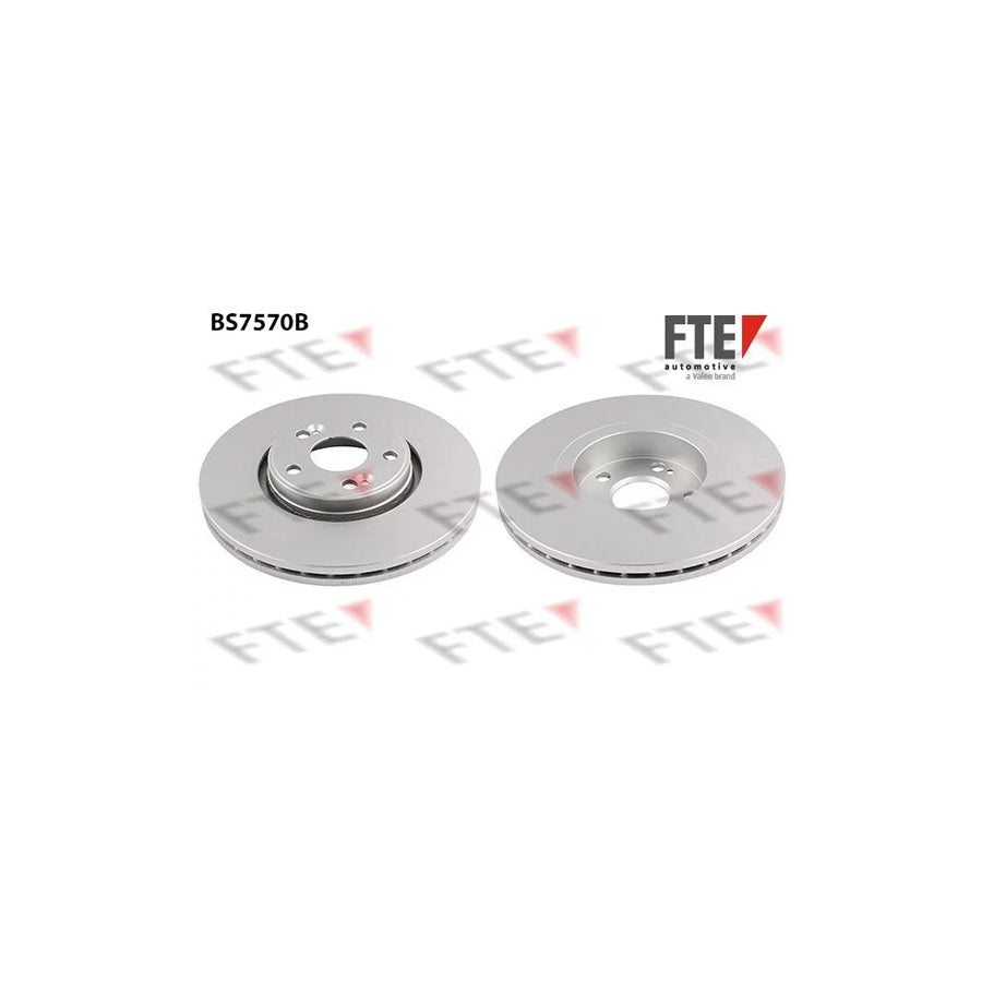 FTE 9081279 Brake Disc for Renault Scã Nic I (Ja0/1, Fa0)