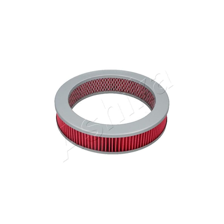 Ashika 20-01-102 Air Filter