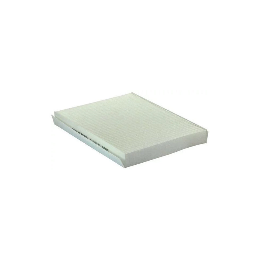 Denckermann M110171 Pollen Filter for Citroã N Xsara Picasso (N68)