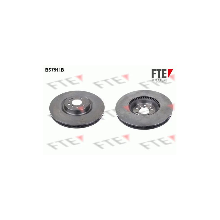 FTE 9081273 Brake Disc