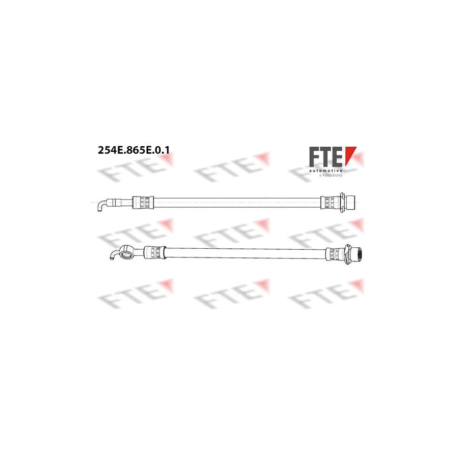 FTE 254E.865E.0.1 Brake Hose