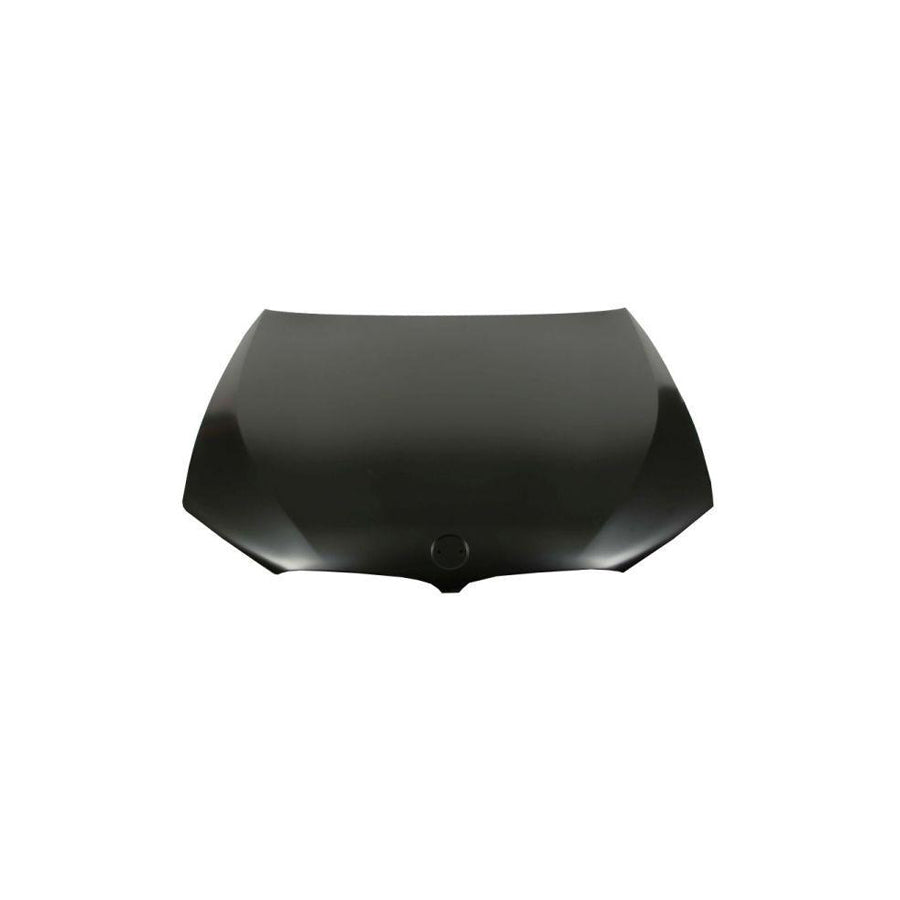 Blic 6803-00-0068280P Bonnet for BMW 5 Series