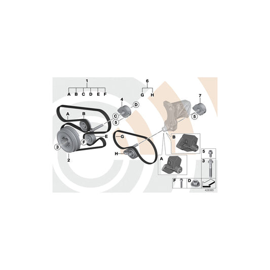 Genuine BMW 11282339125 E39 E38 E46 Set, Belts For Water Pump, Alternator VALUE LINE (Inc. 330xd, 530d & 525d)