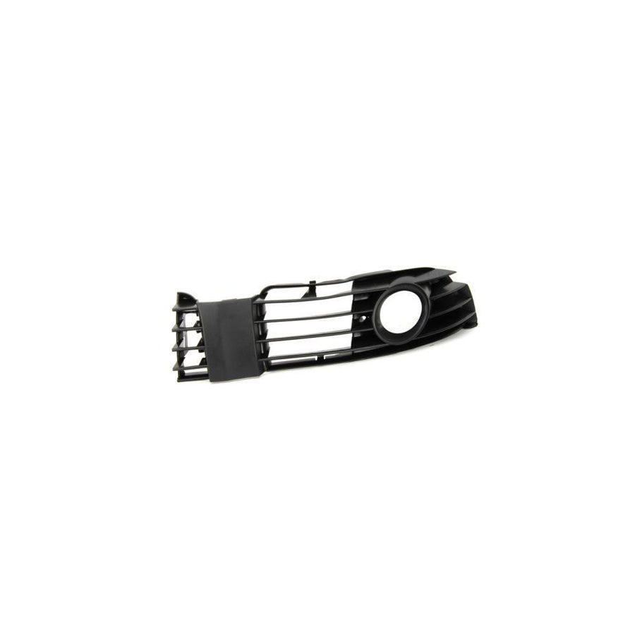 Blic 6508-04-2533701P Door Molding for Ford Focus