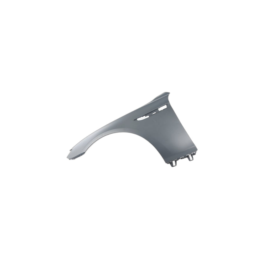 Genuine BMW 41357230577 F13 Side Panel, Front Left (Inc. 640d, 640iX & 650iX 4.0)