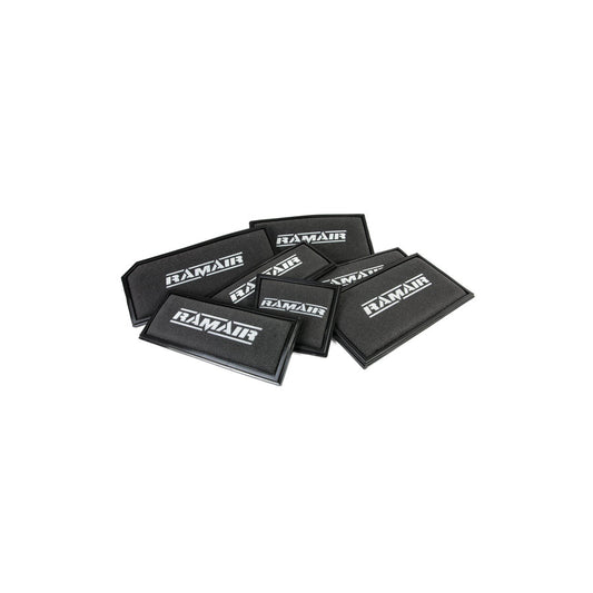 RAMAIR RPF-1598 HONDA ACCORD 2.0 TURBO DI (99-02) PANEL FILTERS