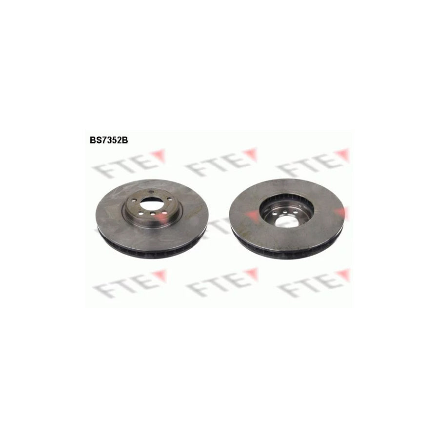 FTE 9081268 Brake Disc for BMW X5 (E53)
