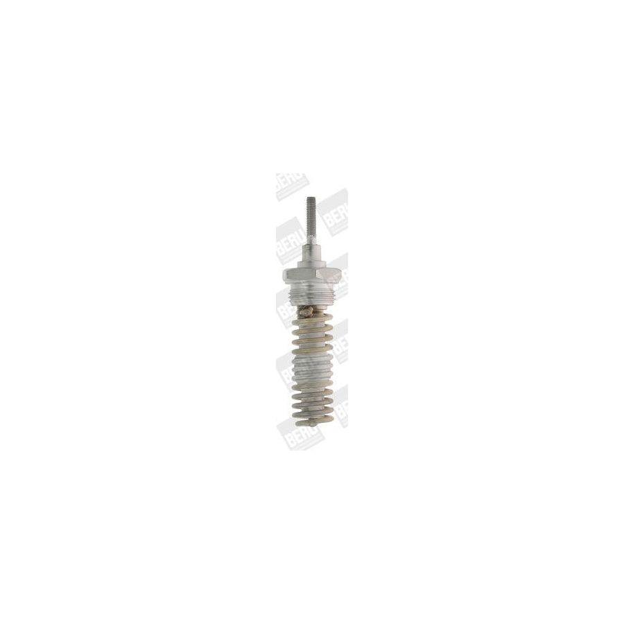 Beru 0135200068 Nozzle And Holder Assembly