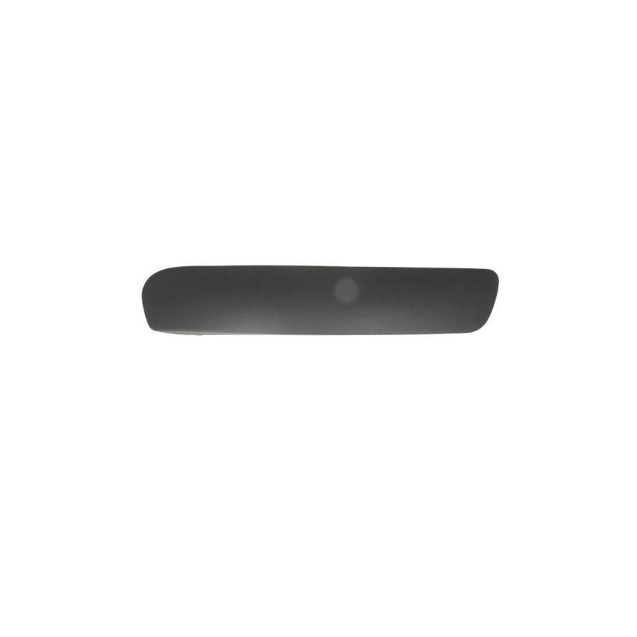 Blic 5703-05-0531922P Bumper Moulding for Citroen C3