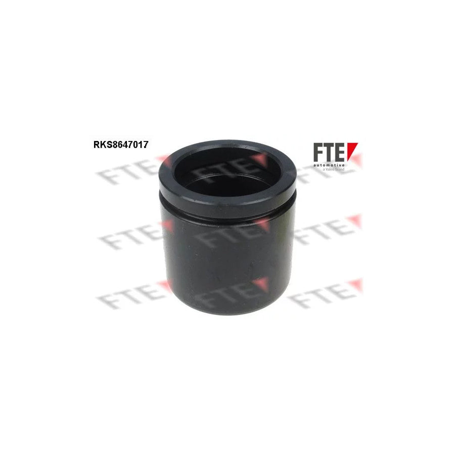 FTE 9313079 Piston, Brake Caliper