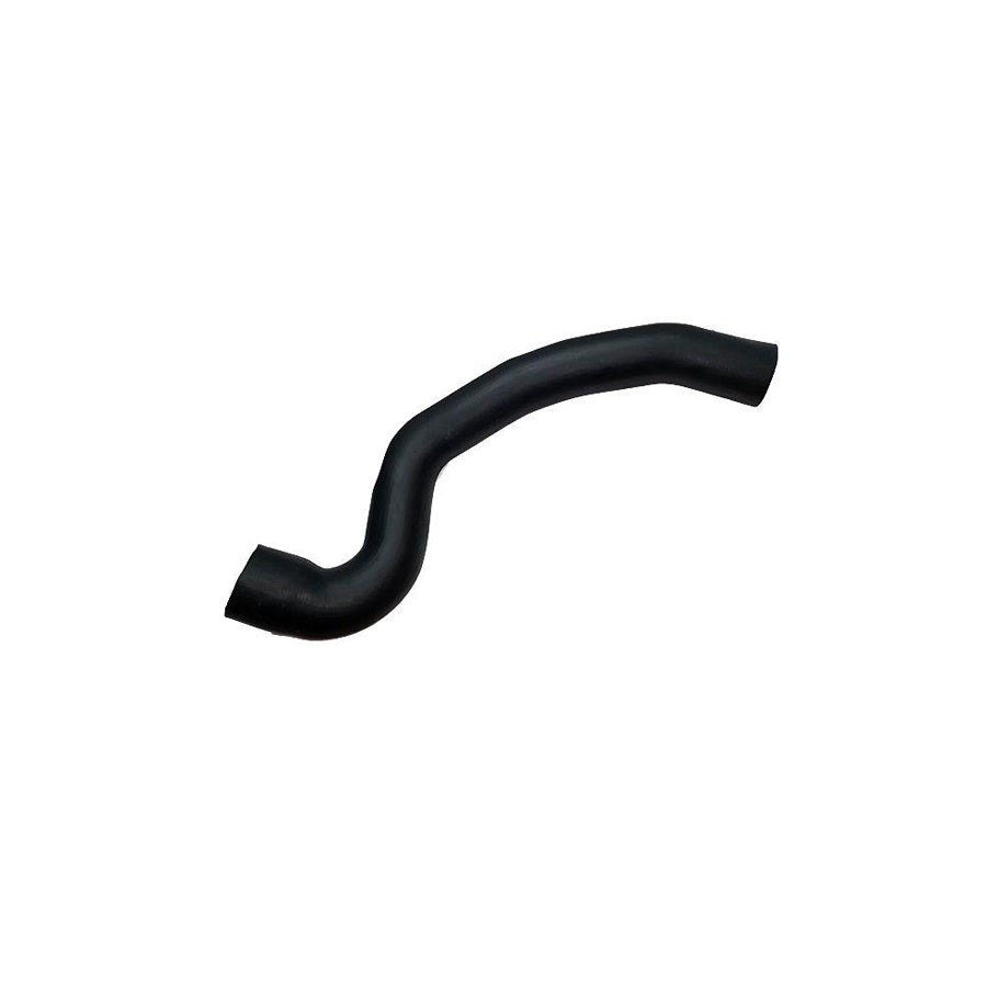 BUGIAD 81772 Charger Intake Hose