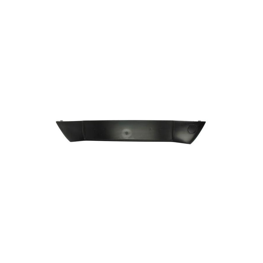 Blic 5703-05-0531920P Bumper Moulding for Citroen C3