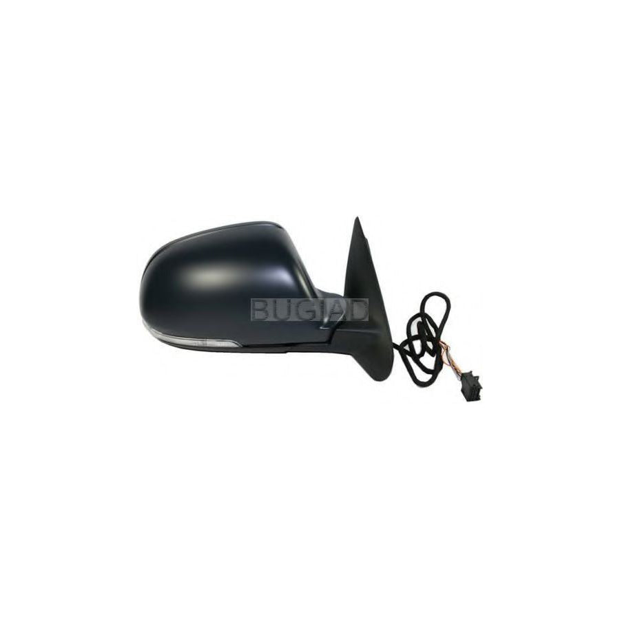 BUGIAD Bsp23648 Wing Mirror