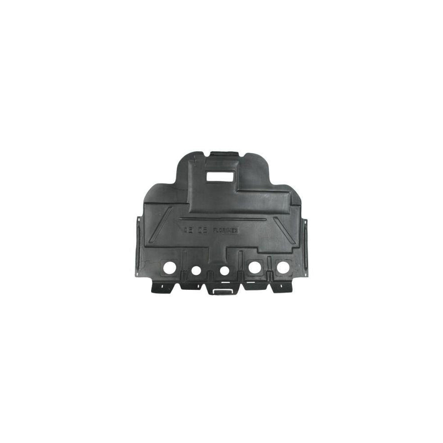 Blic 6601-02-0524881P Engine Cover for Citroen C5