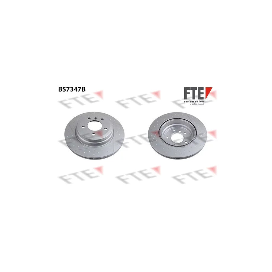 FTE 9081266 Brake Disc