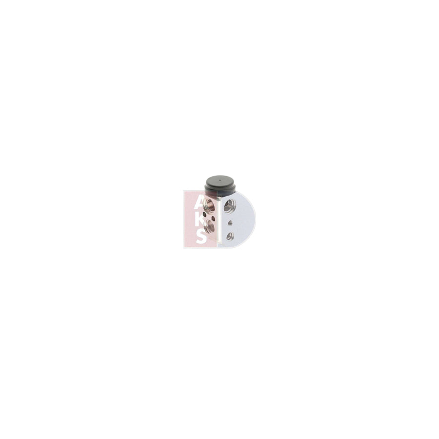 AKS Dasis 880096N Radiator Hose