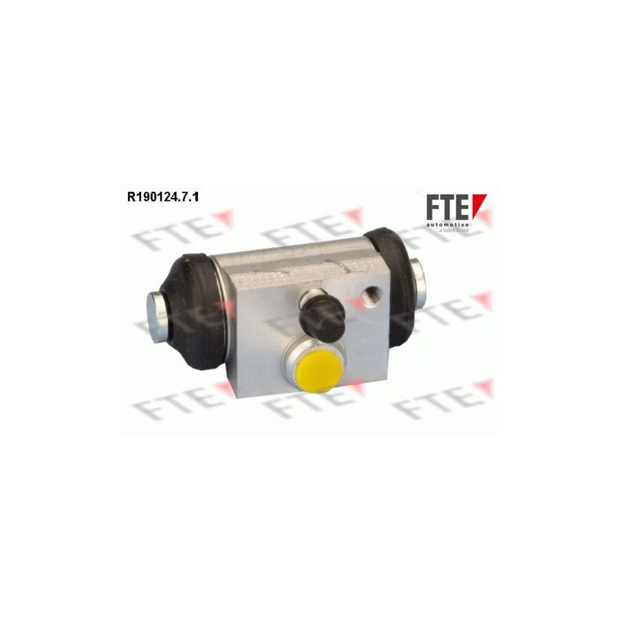FTE 9210105 Wheel Brake Cylinder for Ford Fiesta
