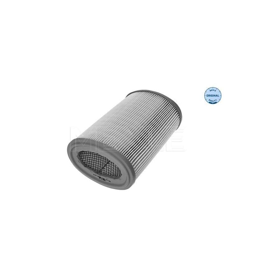 Meyle 36-12 321 0005 Air Filter