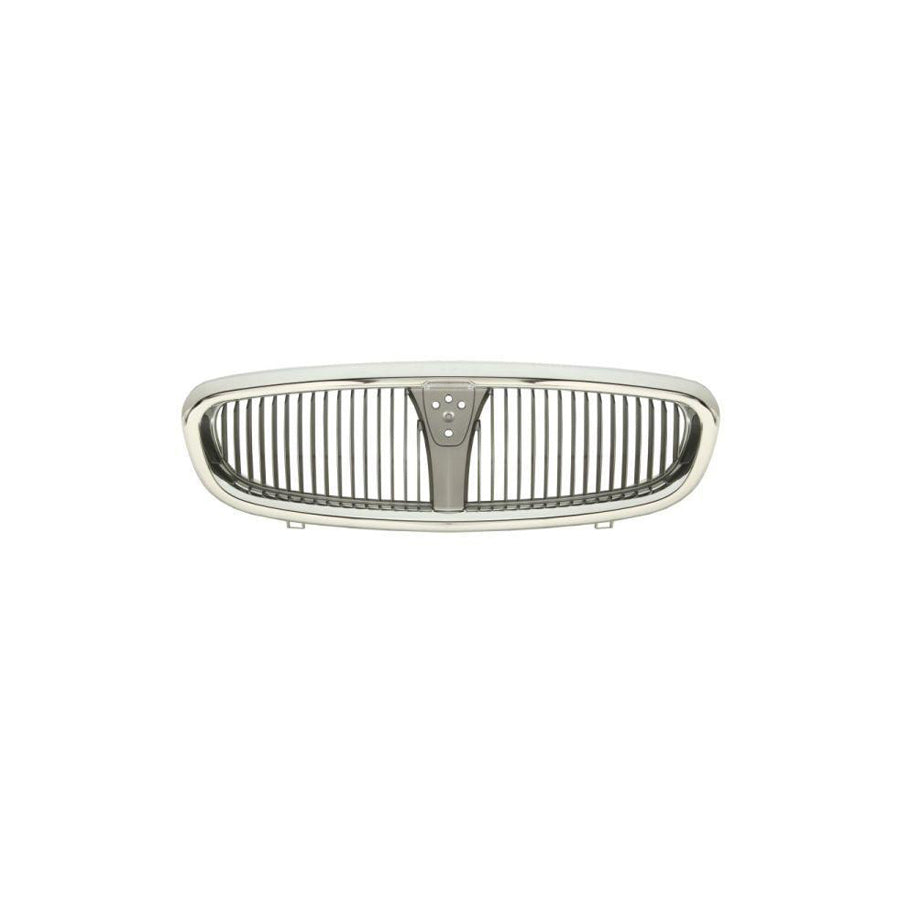 Blic 6502-07-6435990P Radiator Grille for Rover 25 Hatchback (Rf)