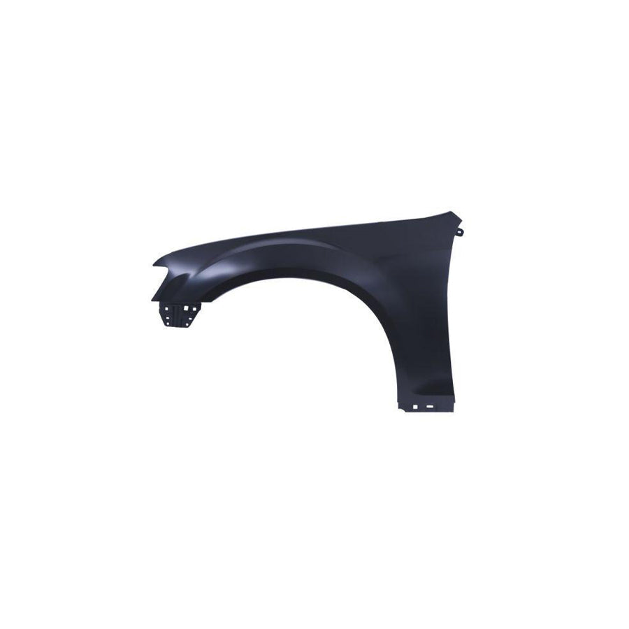 Blic 6803-00-0096280P Bonnet for BMW X5 (E70)