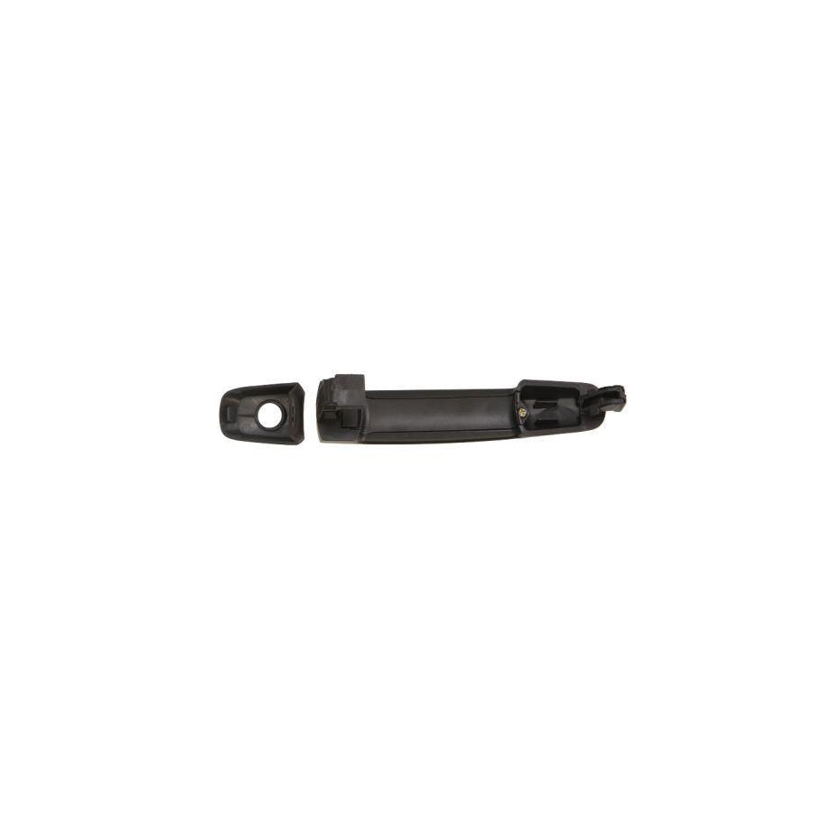 Blic 6010-18-021401P Door Handle