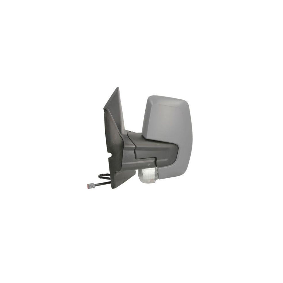 Blic 5402-03-2001293P Wing Mirror