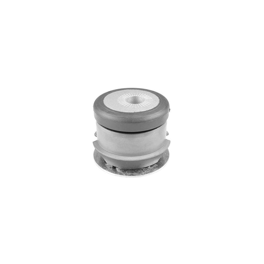 Tedgum Ted90687 Mounting, Axle Bracket