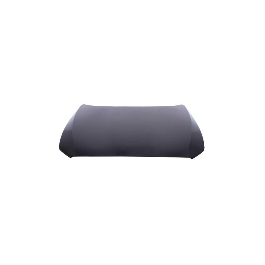 Blic 6803-00-0086280P Bonnet for BMW 1 Series