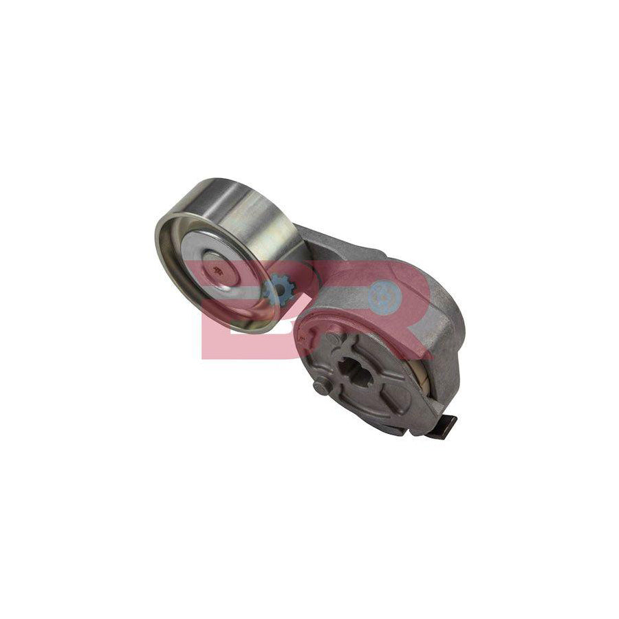 Botto Ricambi Brm5785 Belt Tensioner, V-Ribbed Belt