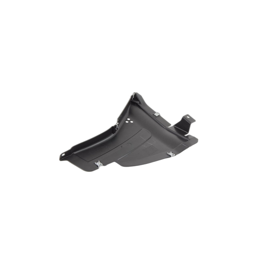 Genuine BMW 51757302376 Cover, Bottom Right (Inc. 730dX, 740d & 760LiS)