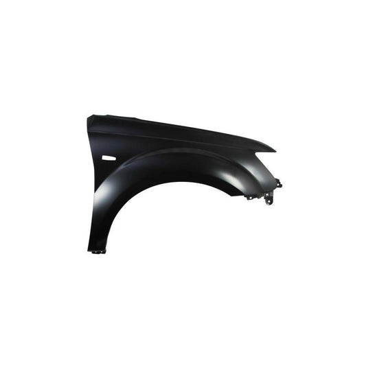Blic 6504-04-3750314P Wing Fender for Mitsubishi Outlander II Off-Road (Cw_W)