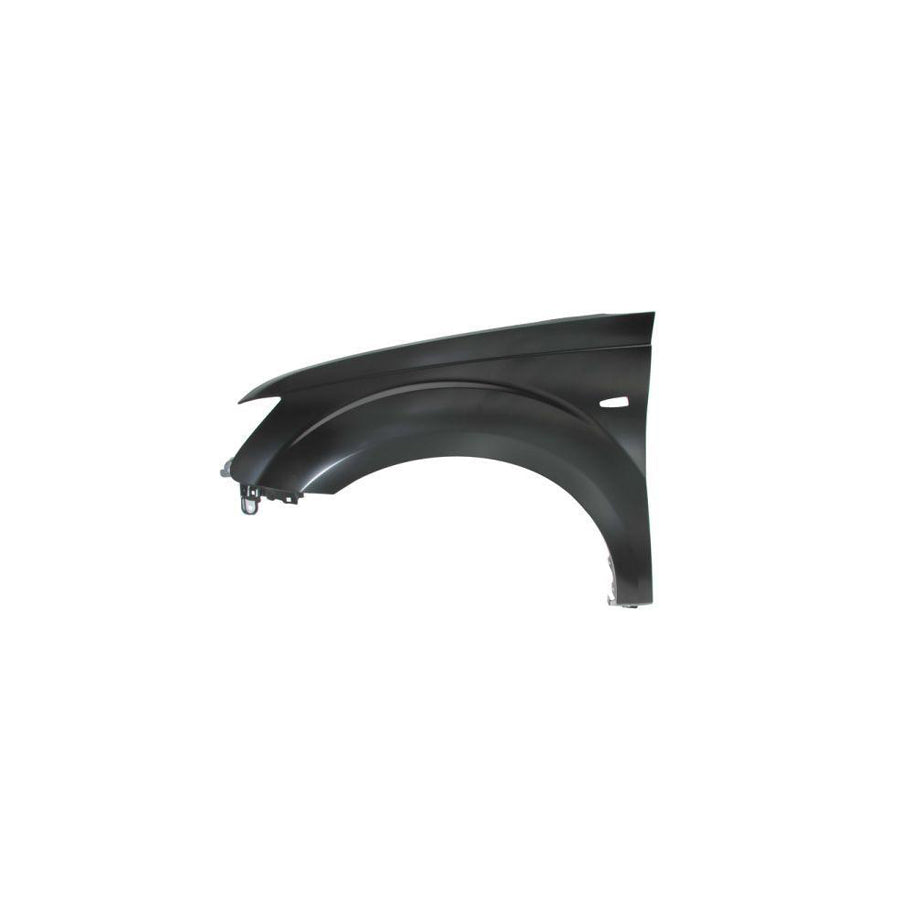 Blic 6504-04-3750313P Wing Fender for Mitsubishi Outlander II Off-Road (Cw_W)