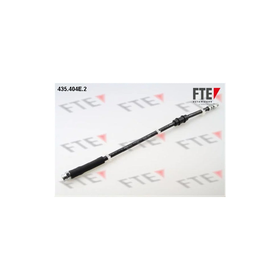 FTE 435.404E.2 Brake Hose